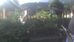 2013-06-05 18.00.41.jpg